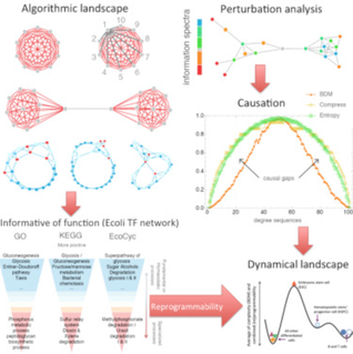 Our New Paper Published In Iscience (Cell Press) Lays Out The Foundations Of Our Technology — image 2