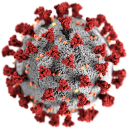 OIA, Algocyte & Covid-19