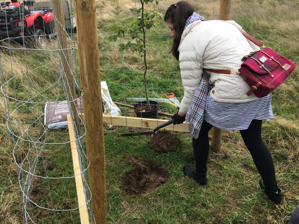 Oxford University Innovation Sponsors The Planting Of A Tree In Wytham Woods In Honour Of OIA’s Launch — image 3